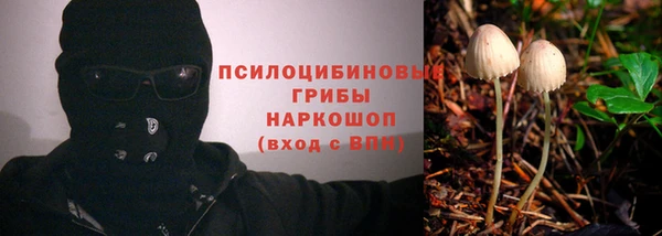 дмт Медвежьегорск