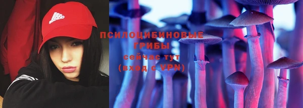 прущий лед Магас