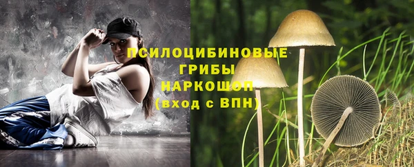 трава Майский